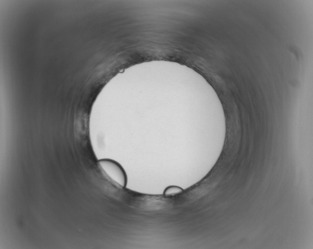 X0000114240528200911061550