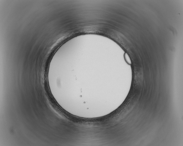X0000114240530200911061550