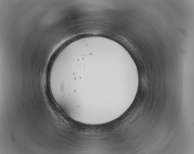 X0000114240532200911061550