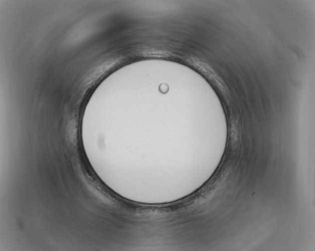 X0000114240533200911061550