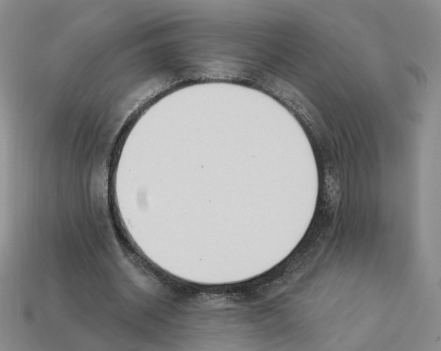 X0000114240534200911061550