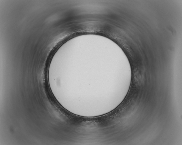 X0000114240536200911061550