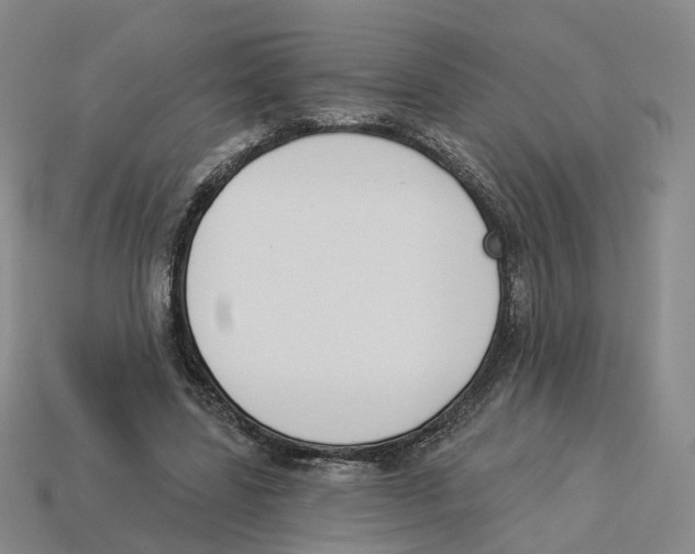 X0000114240539200911061550