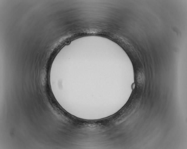 X0000114240540200911061550