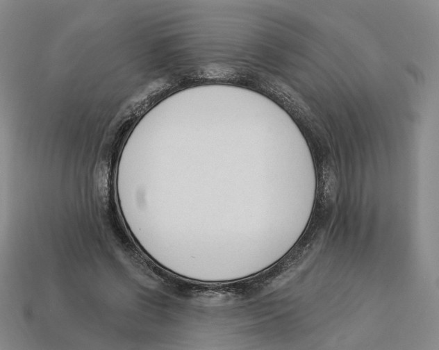X0000114240542200911061550