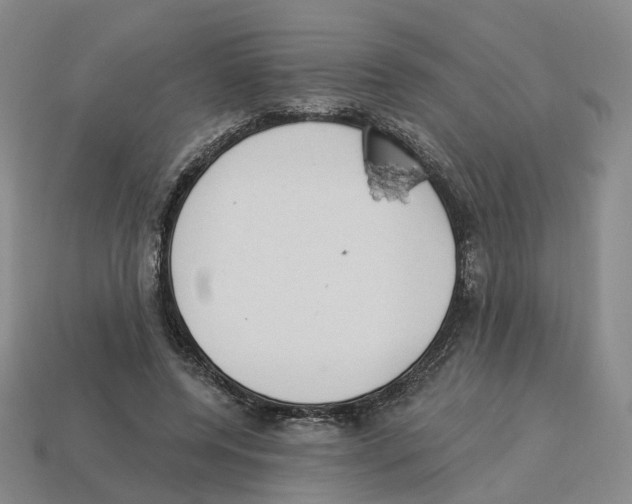 X0000114240544200911061550