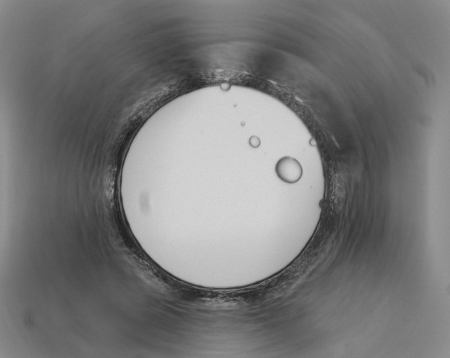 X0000114240545200911061550