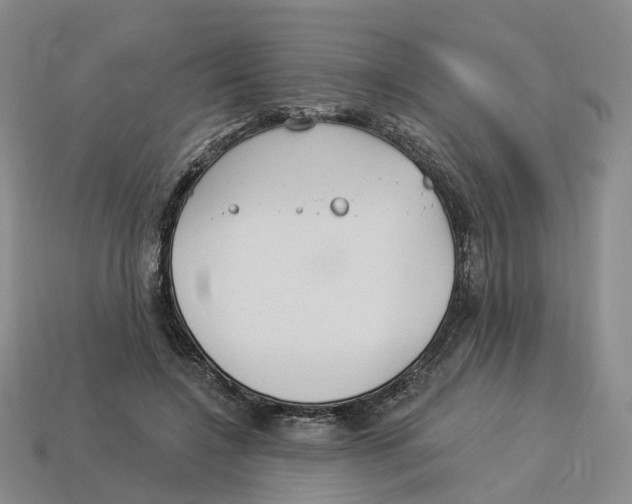 X0000114240548200911061550