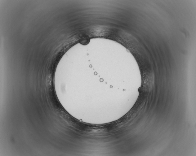 X0000114240555200911061550