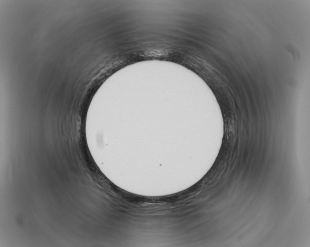 X0000114240556200911061550