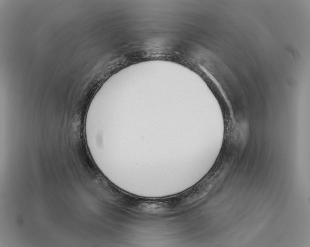 X0000114240557200911061550