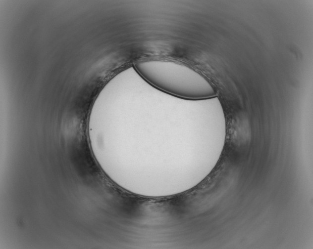 X0000114240568200911061550