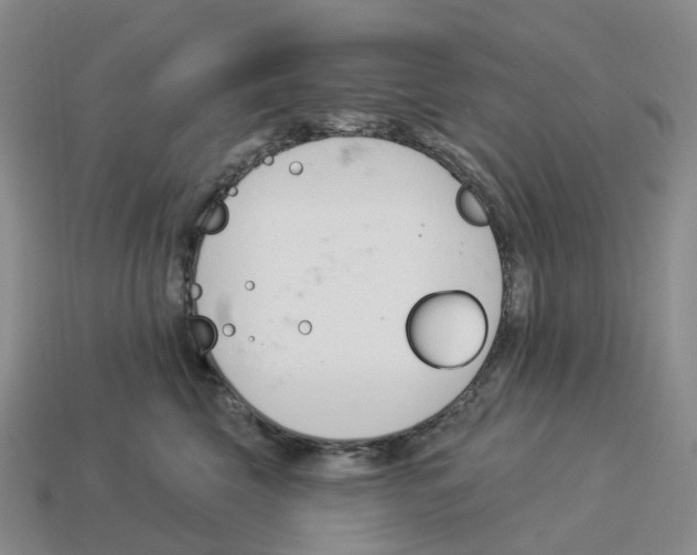 X0000114240569200911061550