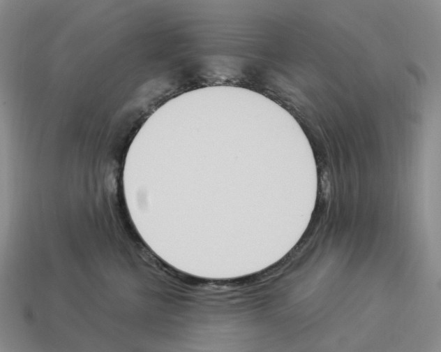 X0000114240570200911061550