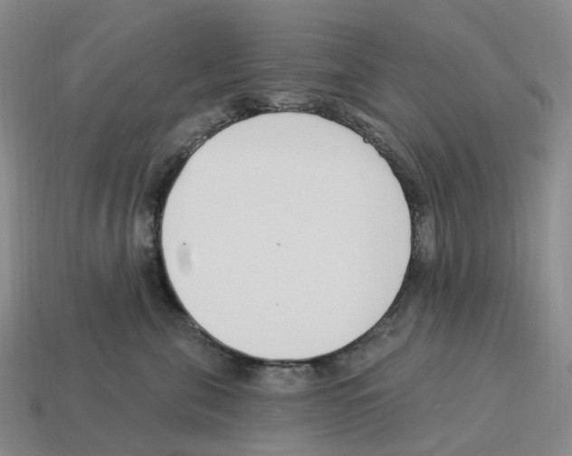 X0000114240571200911061550