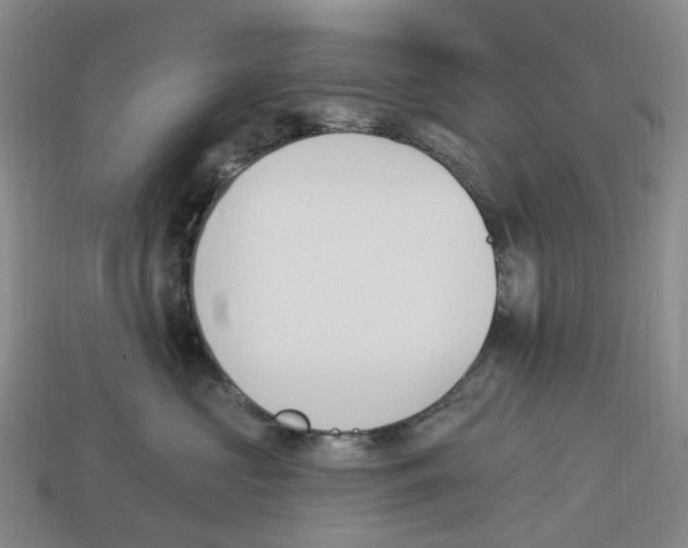 X0000114240573200911061550