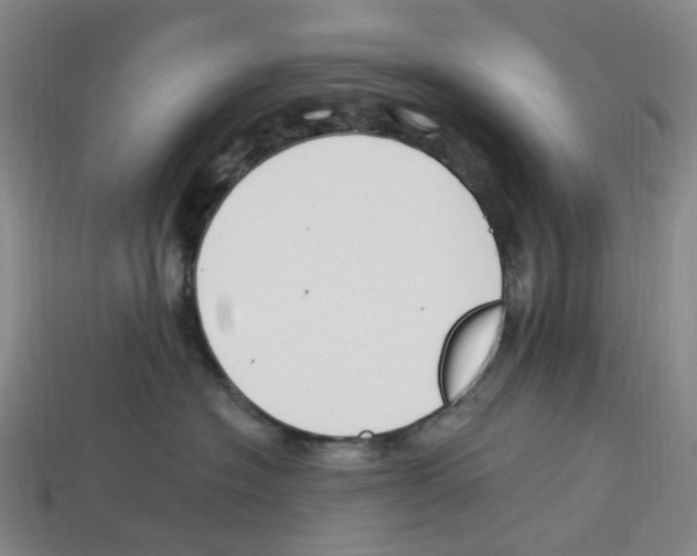 X0000114240574200911061550