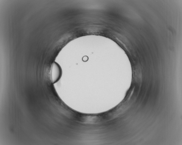 X0000114240575200911061550