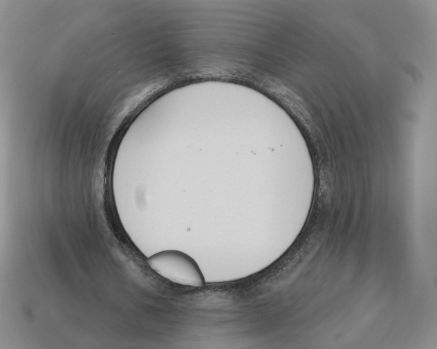 X0000114240578200911061550