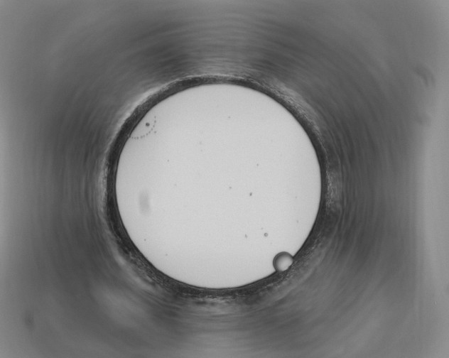 X0000114240580200911061550