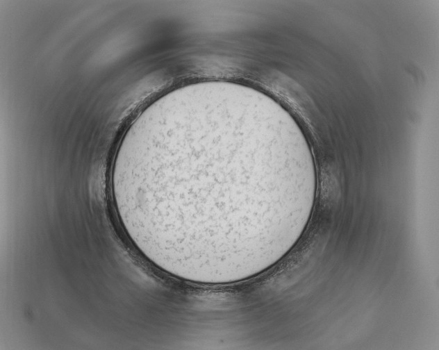 X0000114240581200911061550