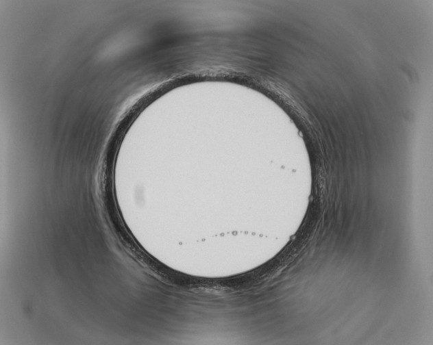 X0000114240583200911061550