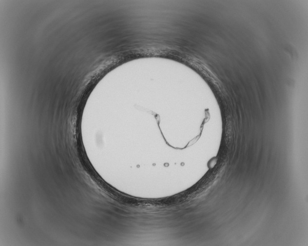 X0000114240585200911061549