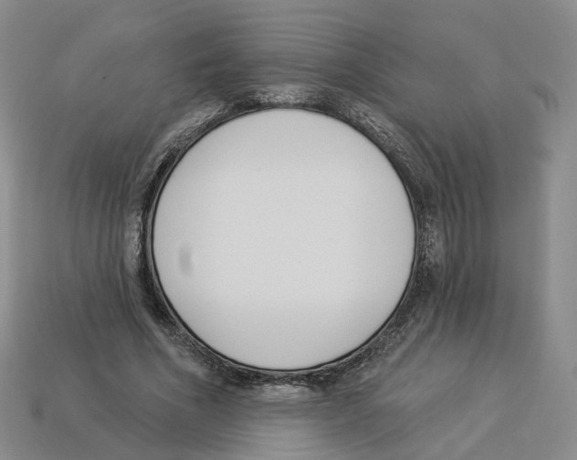 X0000114240586200911061549