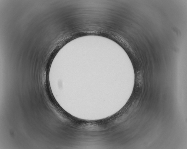 X0000114240589200911061549