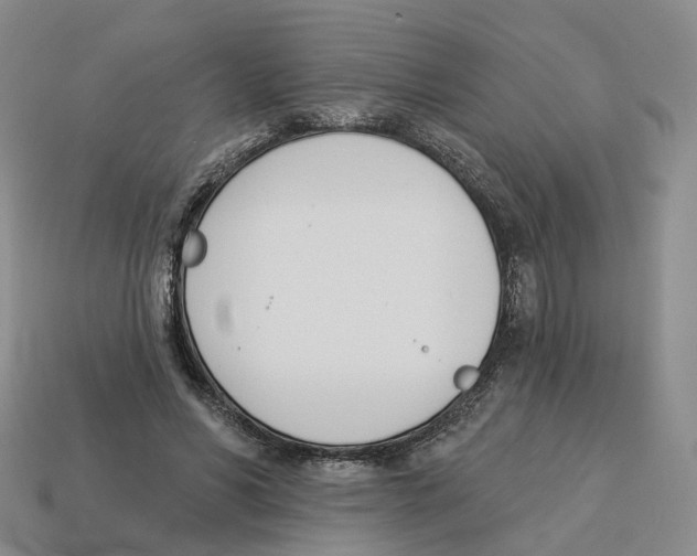 X0000114240590200911061549