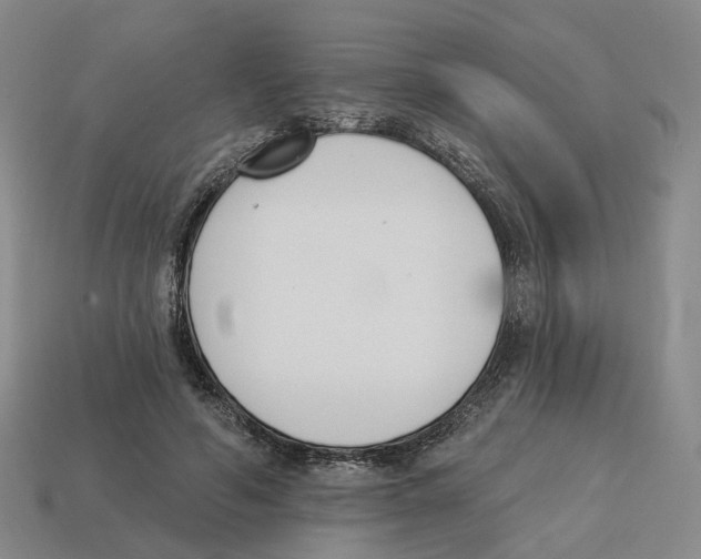 X0000114240594200911061549
