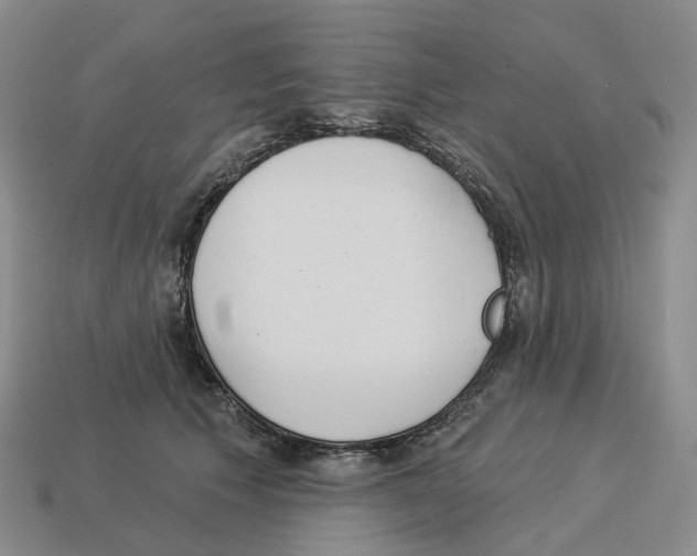 X0000114240609200911061549