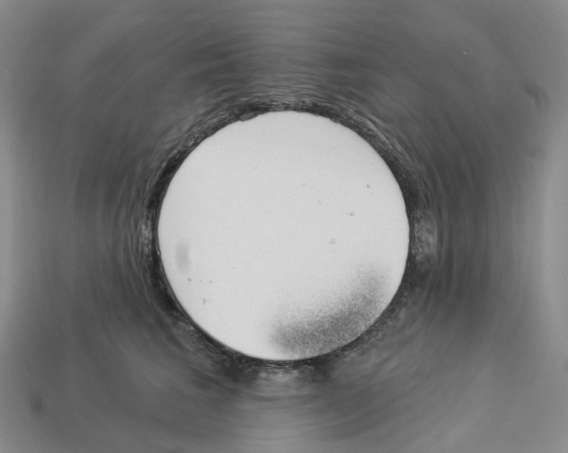 X0000114240613200911061549