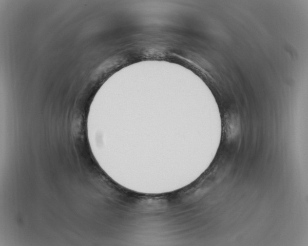 X0000114240619200911061549