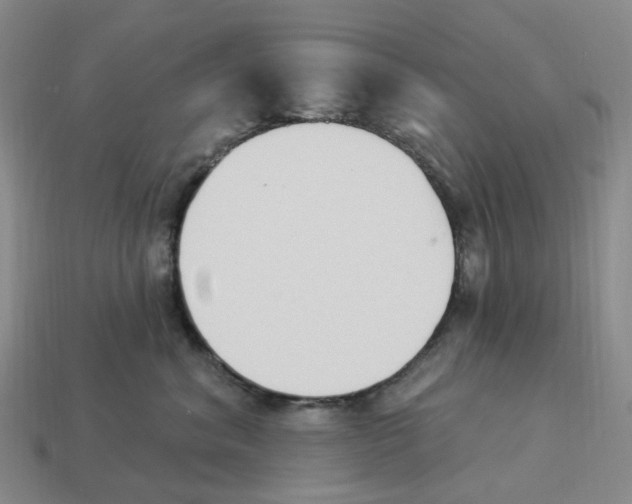 X0000114240620200911061549