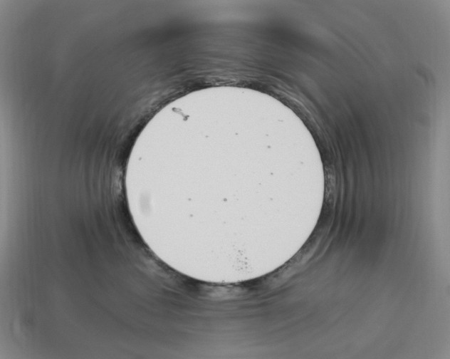 X0000114240621200911061549