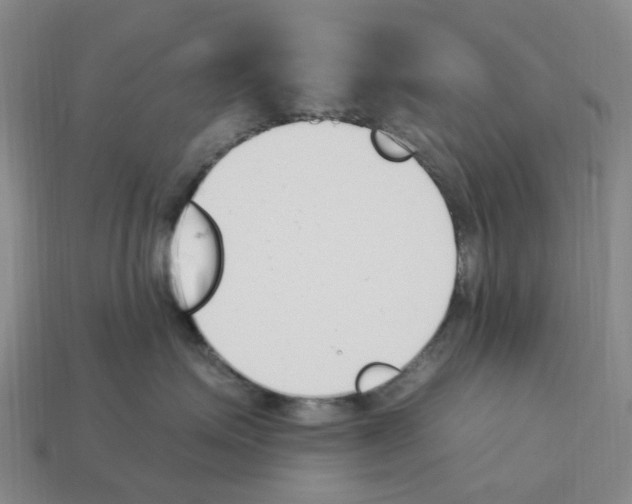X0000114240623200911061549