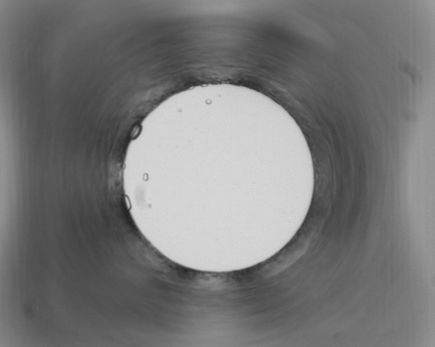 X0000114240624200911061549