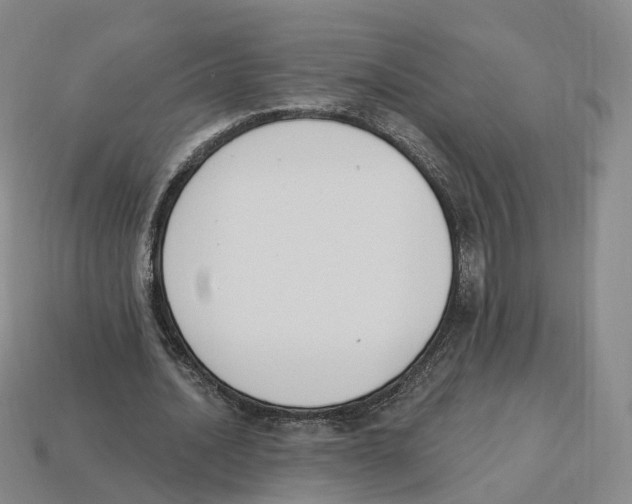 X0000114240628200911061548