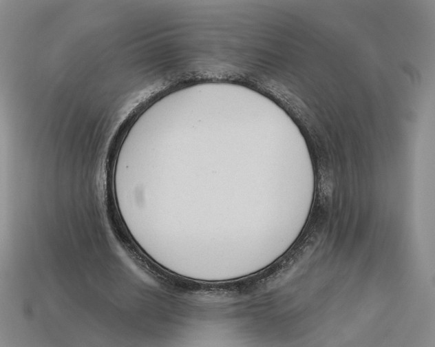 X0000114240630200911061548