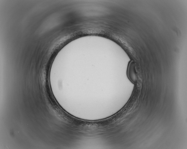 X0000114240631200911061548