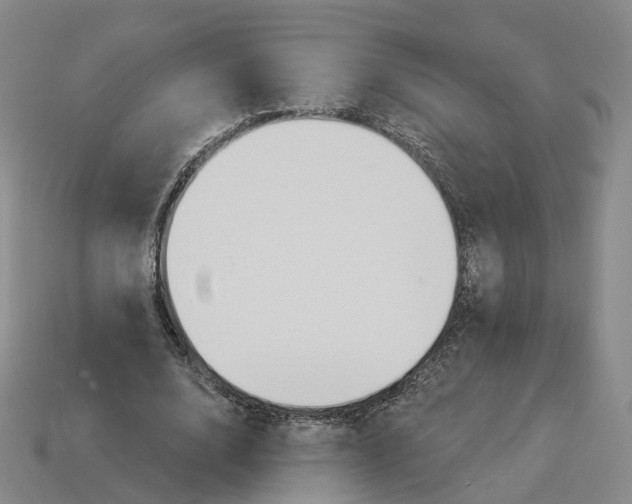 X0000114240632200911061548