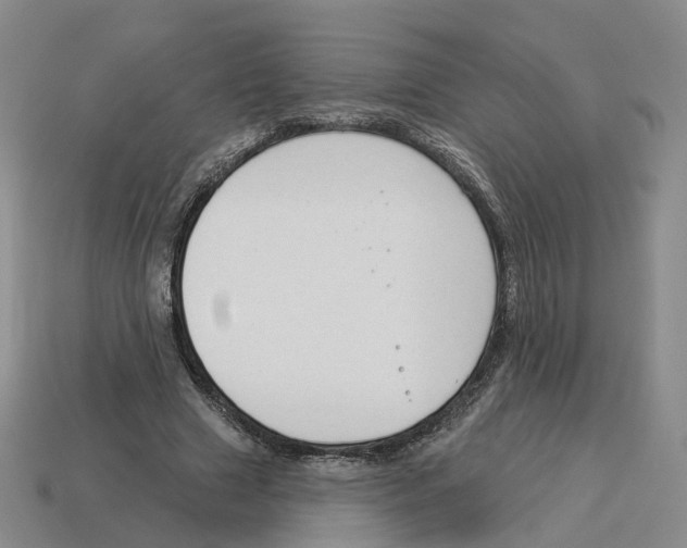 X0000114240633200911061548