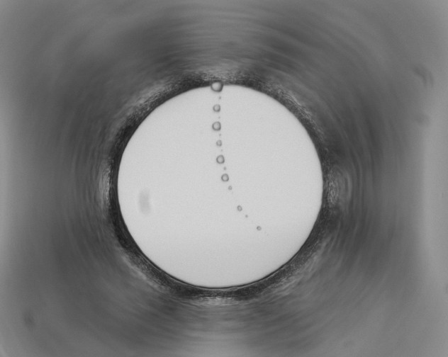 X0000114240637200911061549