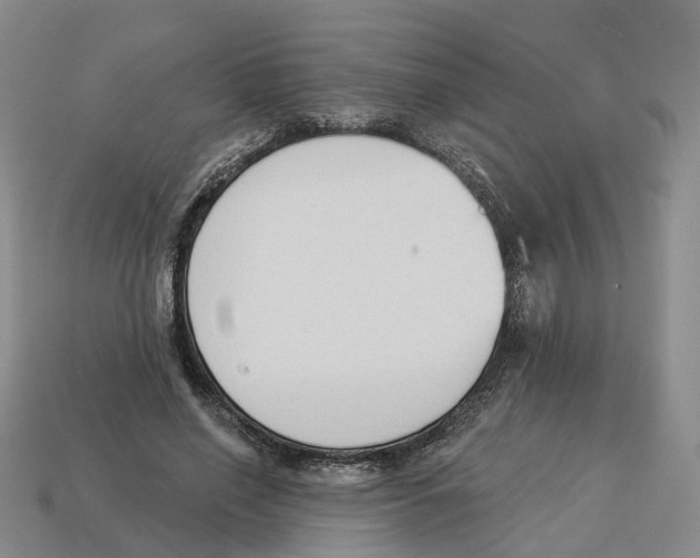 X0000114240638200911061549