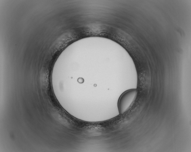 X0000114240642200911061549