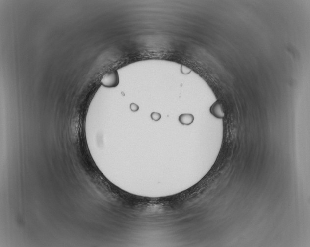 X0000114240647200911061549