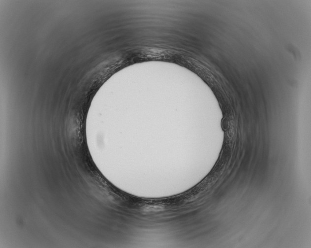 X0000114240653200911061549