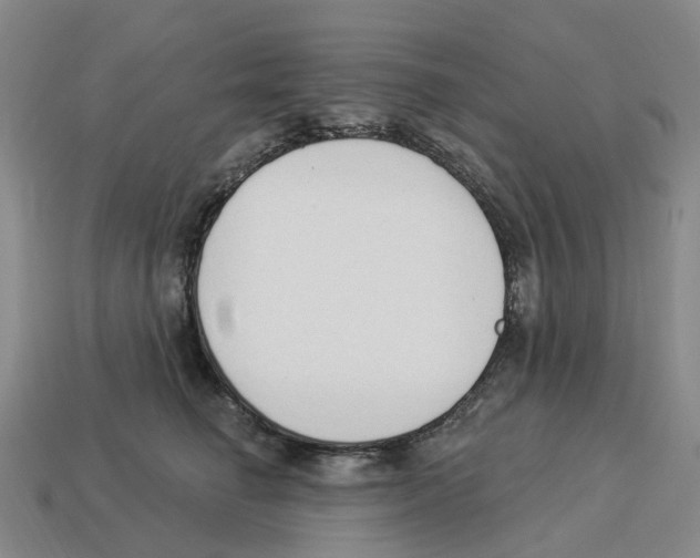 X0000114240662200911061549