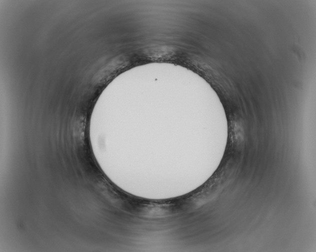 X0000114240664200911061549